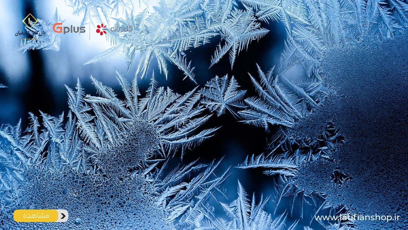 freezing and storing food in the freezer 1 4 ۷ نکته مهم انجماد و نگهداری مواد غذایی در فریزر که باید بدانید!