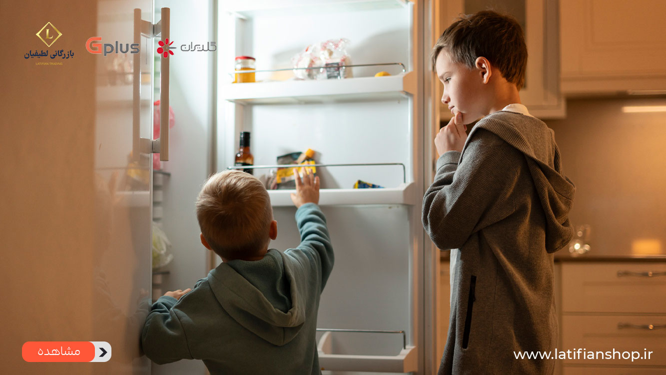 the best selling iranian side by side معرفی پرفروشترین ساید بای ساید ایرانی در سال 1403 the best selling iranian side by side معرفی پرفروشترین ساید بای ساید ایرانی در سال 1403